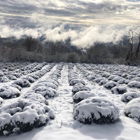 Kuca Za Odmor Koprivnjak Tomasevci Bagian luar foto
