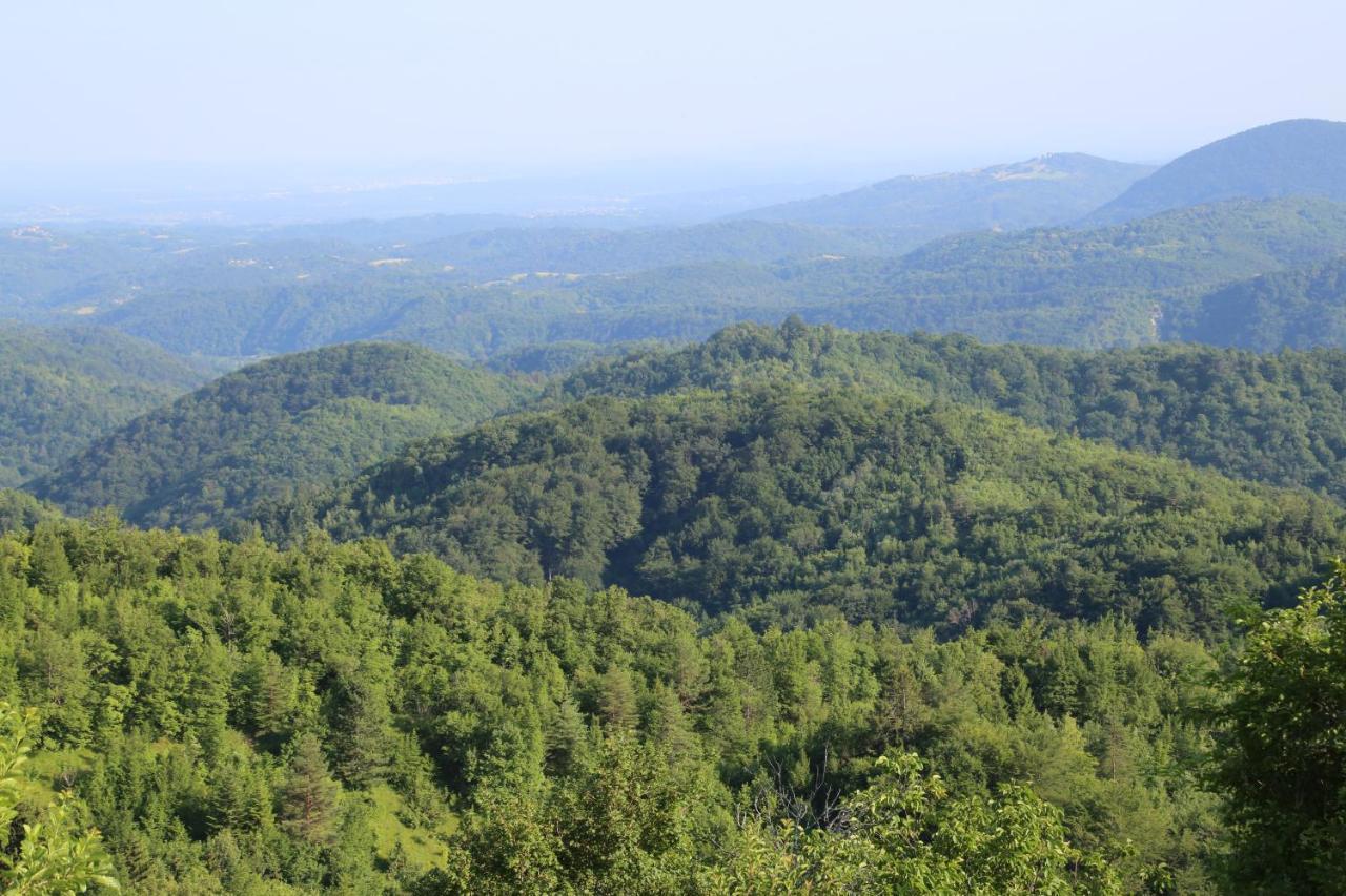 Kuca Za Odmor Koprivnjak Tomasevci Bagian luar foto